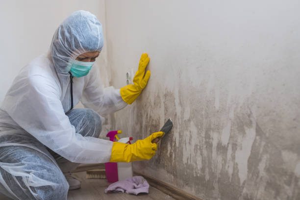 Best Forensic Mold Investigation  in Byron Center, MI
