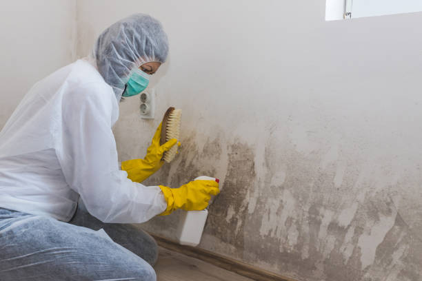 Best Biohazard Mold Removal  in Byron Center, MI