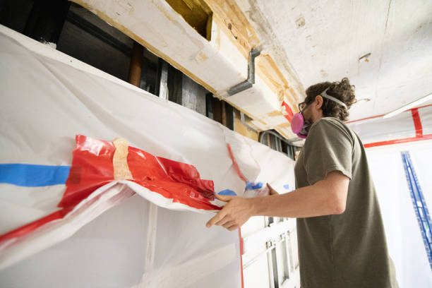 Best Black Mold Removal  in Byron Center, MI