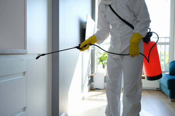 Best Water Damage & Mold Remediation  in Byron Center, MI