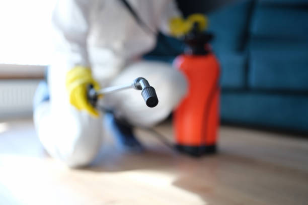 Biohazard Mold Removal in Byron Center, MI